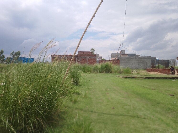 Garden, medical college road  1800 Sq.Yd. Plot In Medical College Road Gorakhpur 8948588