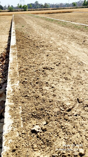  Plot – Exterior View View at Sonbarsa - for Sale