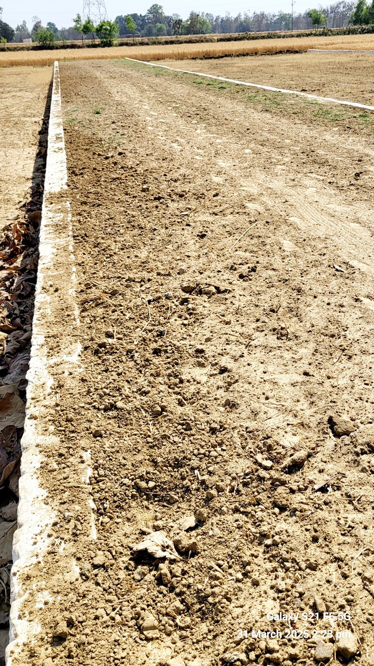 Exterior View, sonbarsa  1000 Sq.Ft. Plot In Sonbarsa Gorakhpur 8948628