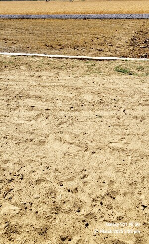 Plot Area in  Plot at Sonbarsa – for Sale