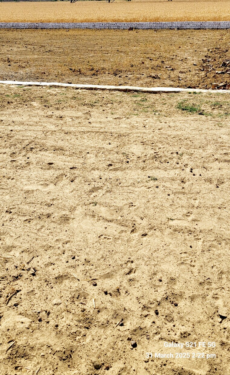 undefined, sonbarsa  1000 Sq.Ft. Plot In Sonbarsa Gorakhpur 8948628