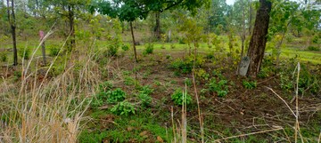 Plot Area in  Plot at Murbad – for Sale
