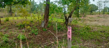  Plot – Garden View at Murbad - for Sale