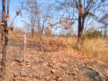 Plot Area in  Plot at Murbad – for Sale