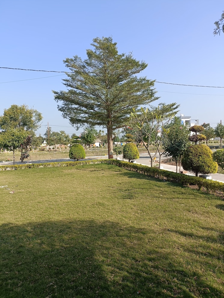 Garden, ringnodiya  1250 Sq.Ft. Plot In Ringnodiya Indore 8949175