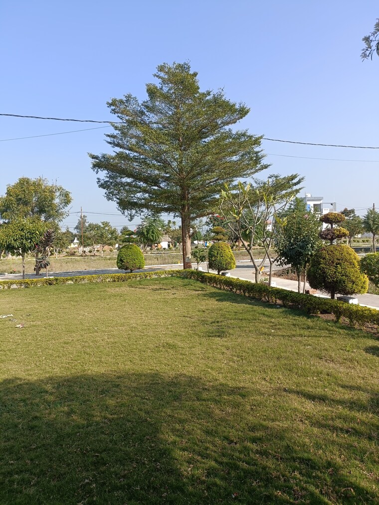 Garden, ringnodiya  1250 Sq.Ft. Plot In Ringnodiya Indore 8949175