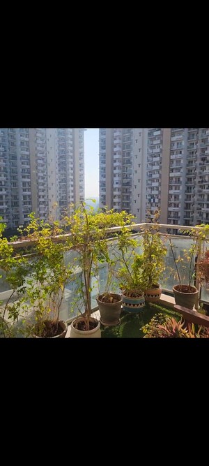 3 BHK Apartment – Exterior View View at Emaar Imperial Gardens, Sector 102 - for Sale