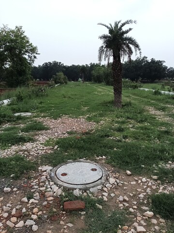Plot Area in  Plot at Agra Expressway – for Sale