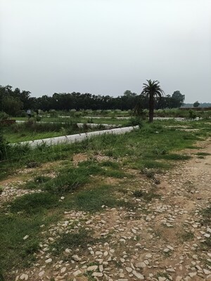 Plot Area in  Plot at Agra Expressway – for Sale