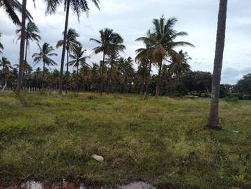  Land For Sale in Metagalli