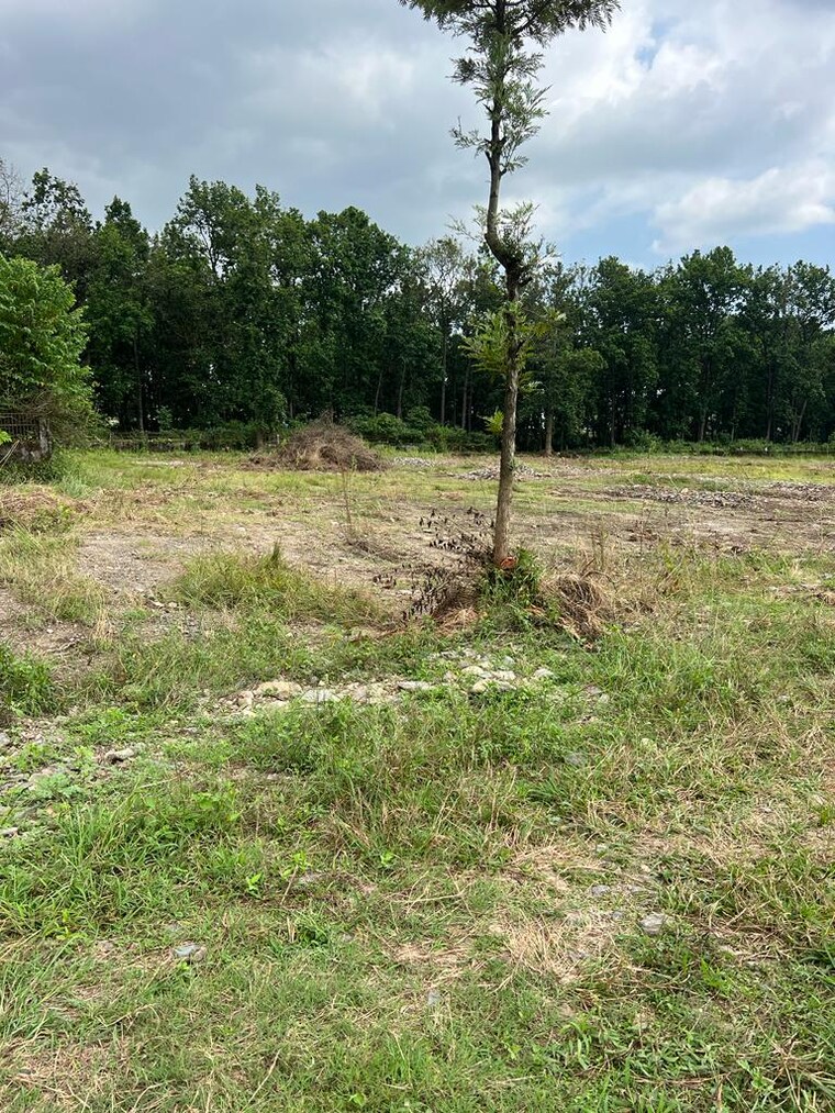 undefined, sahastradhara road  150 Sq.Yd. Plot In Sahastradhara Road Dehradun 8949612