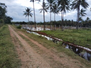  Land – Exterior View View at Metagalli - for Sale