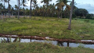 Plot Area in  Land at Metagalli – for Sale