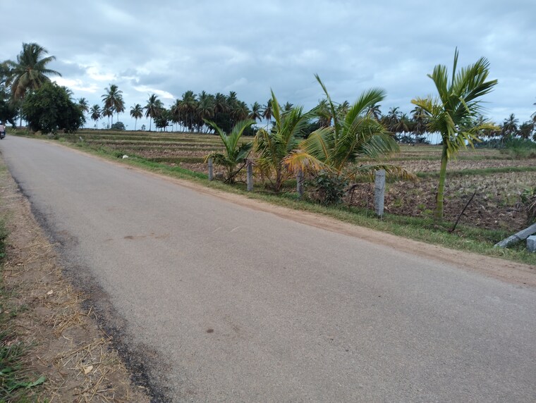 Exterior View, belagola Commercial Land 1 Acre In Belagola Mysore 8949659