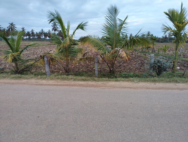 undefined, belagola Commercial Land 1 Acre In Belagola Mysore 8949659