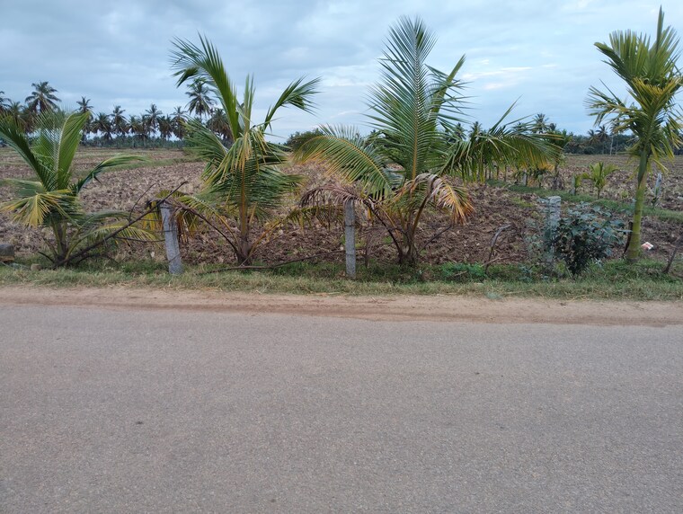 undefined, belagola Commercial Land 1 Acre In Belagola Mysore 8949659