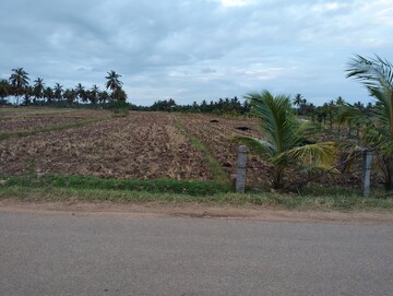 Plot Area in  Land at Belagola – for Sale
