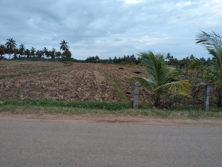 undefined, belagola Commercial Land 1 Acre In Belagola Mysore 8949659