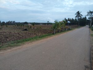  Land For Sale in Belagola