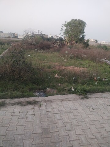  Plot For Sale in Jeevan Vihar