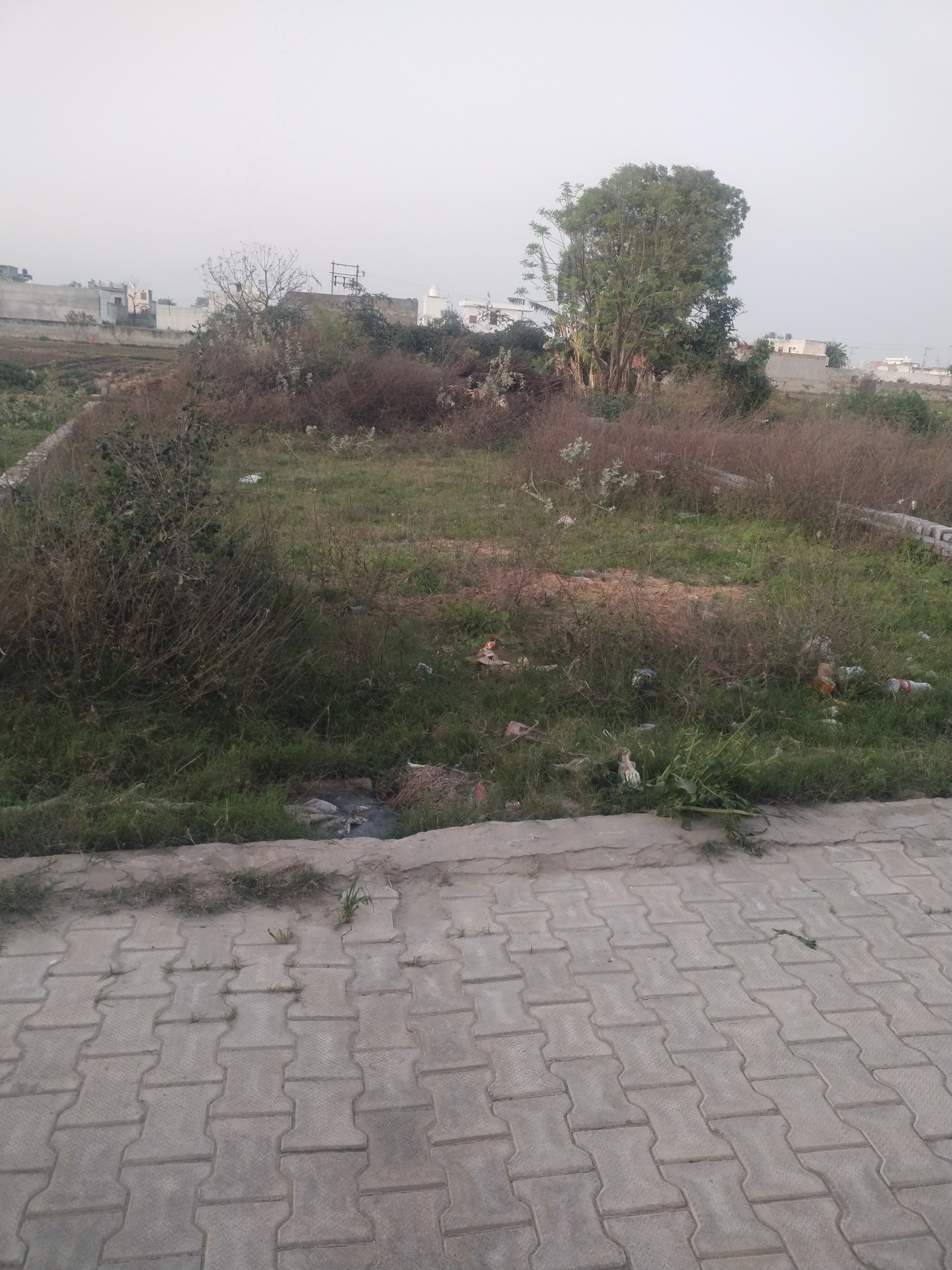 Plot For Sale in Jeevan Vihar