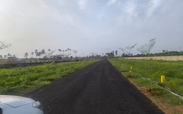 Plot For Sale in Sanghivalasa