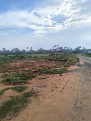 Plot Area in  Plot at Chippada – for Sale
