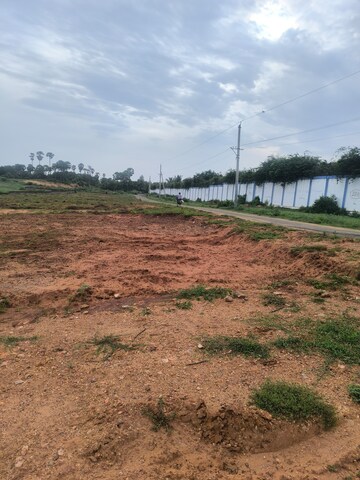  Plot For Sale in Chippada