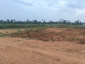 Plot Area in  Plot at Chippada – for Sale