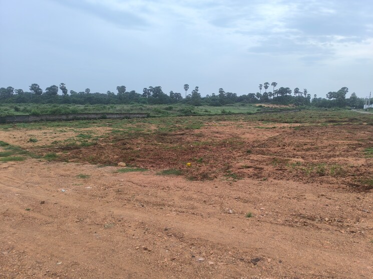 undefined, chippada  200 Sq.Yd. Plot In Chippada Vizag 8950228