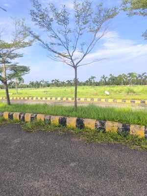 Plot Area in  Plot at Kapulppada – for Sale