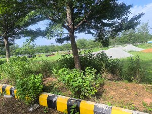 Plot Area in  Plot at Kapulppada – for Sale