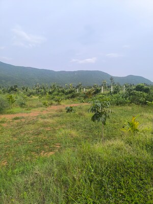Plot Area in  Plot at Anakapalle – for Sale