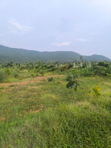 Plot Area in  Plot at Anakapalle – for Sale