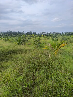 Plot Area in  Plot at Anakapalle – for Sale