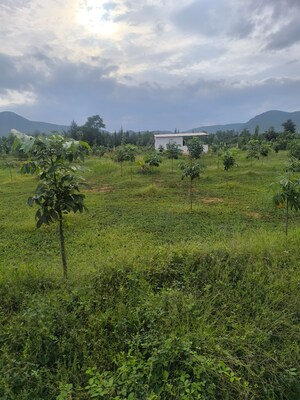  Plot For Sale in Anakapalle