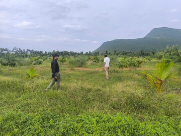Plot Area in  Plot at Anakapalle – for Sale
