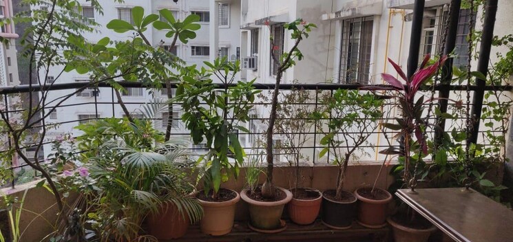 Balcony, padmavilas-apartments 3 Bedroom 1650 Sq.Ft. Apartment In Pashan Pune 8950338