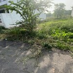 978 Sq.Ft. Plot in Sector 65