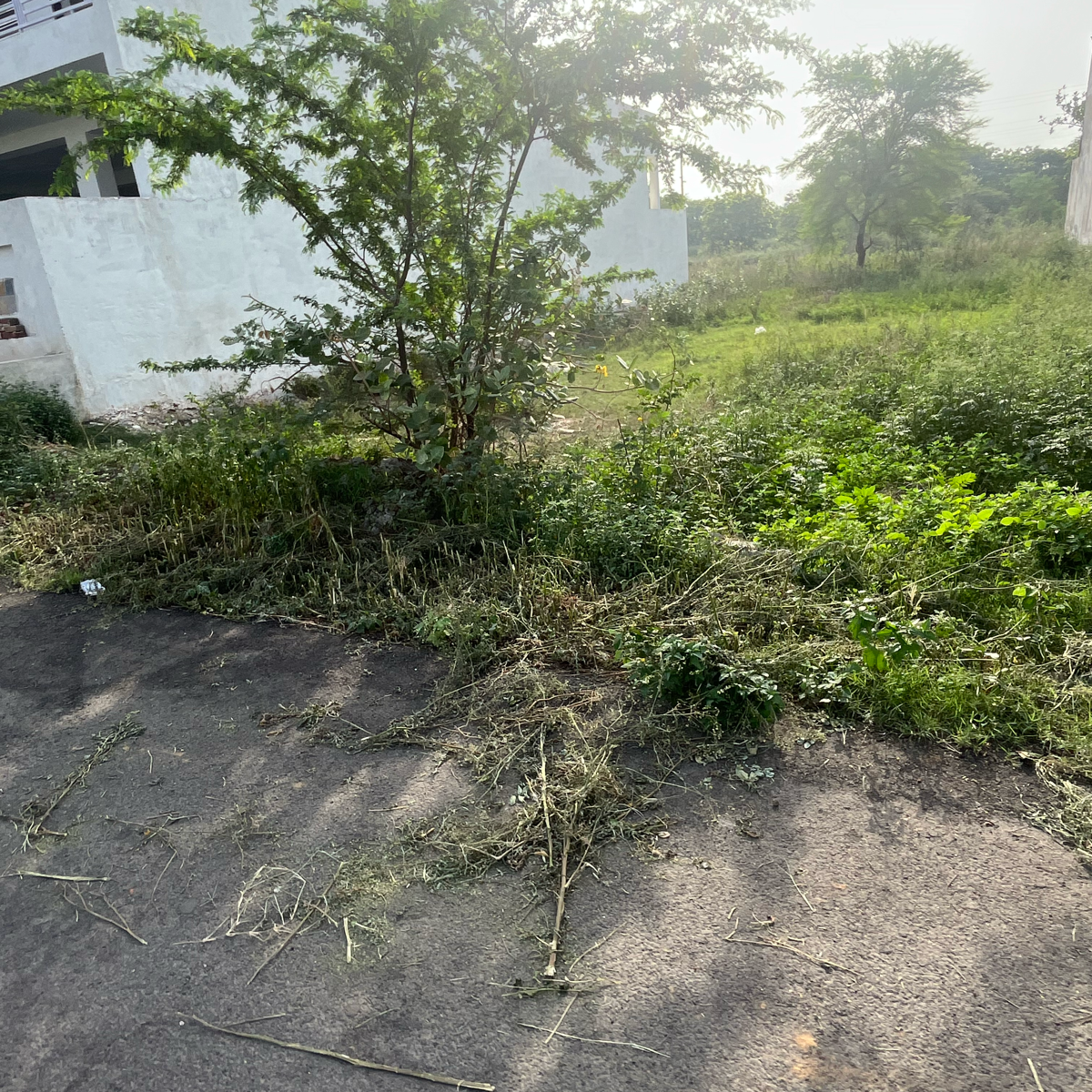 Plot For Sale in Sector 65