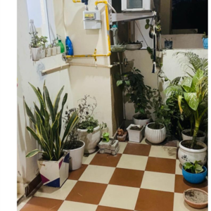 Team Area in 2 BHK Independent House at Huda Apartments, Sector 62 – for Sale