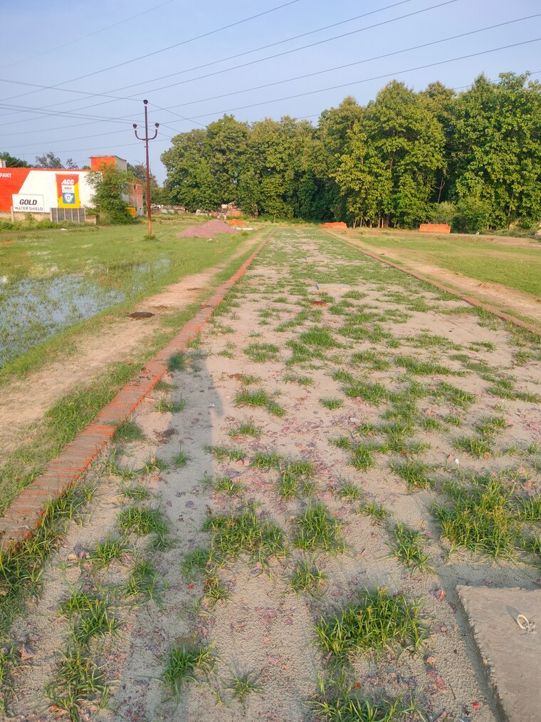 Garden, kalli paschim  2500 Sq.Ft. Plot In Kalli Paschim Lucknow 8950587