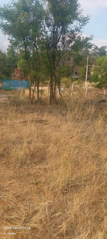Plot Area in  Plot at Tharalu – for Rent