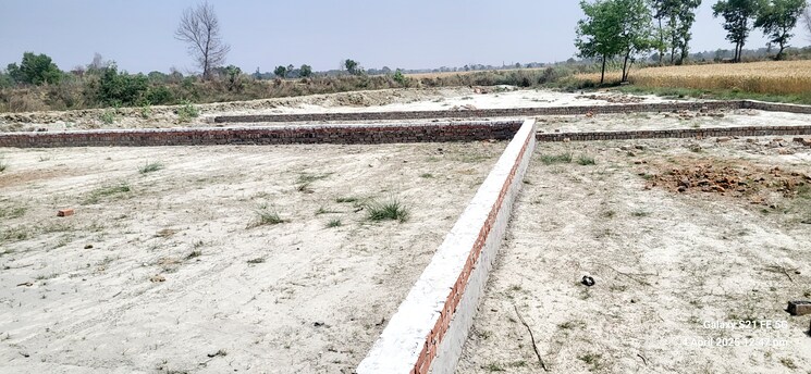 undefined, kasia  800 Sq.Ft. Plot In Kasia Kushinagar 8951021