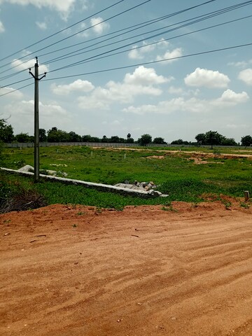  Land For Sale in Peddakaparthy