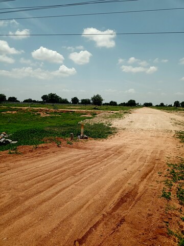 Plot Area in  Land at Peddakaparthy – for Sale