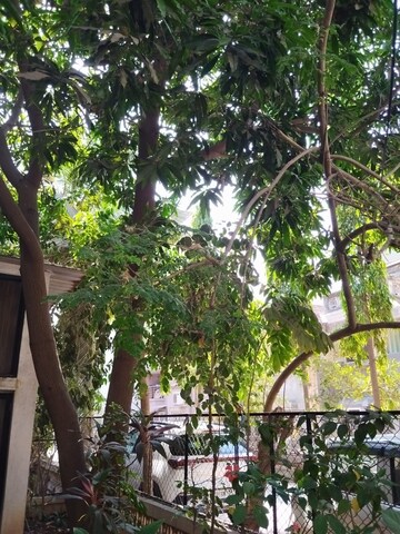 4 BHK Independent House – Garden View at Vesu - for Sale