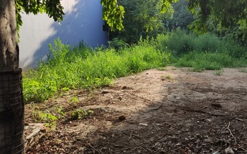 Plot For Sale in Dlf Phase I