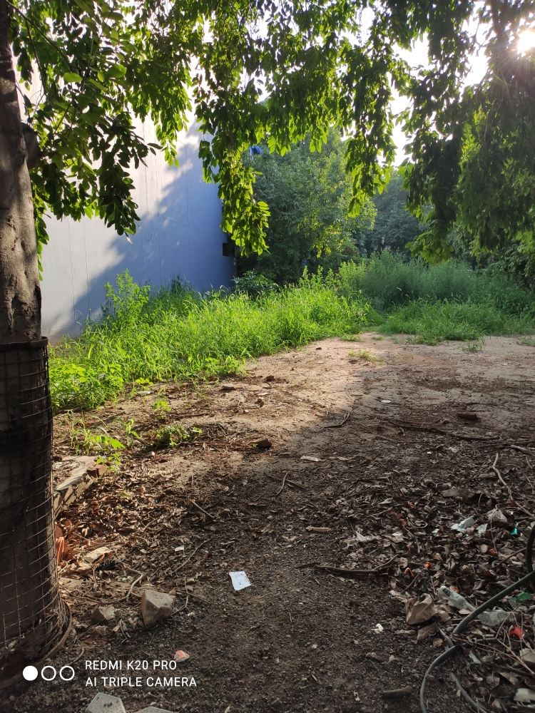 Plot For Sale in DLF Phase I