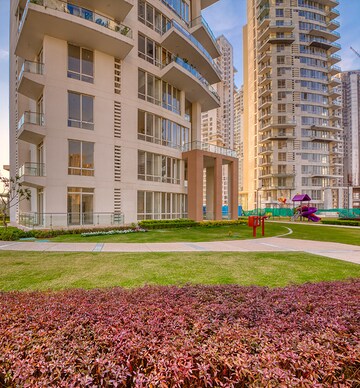 3.5 BHK Apartment For Rent in Pioneer Park Presidia, Sector 62